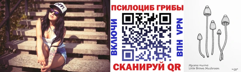 Псилоцибиновые грибы прущие грибы  Электрогорск 