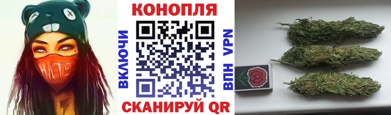 Бошки Шишки конопля  Электрогорск 